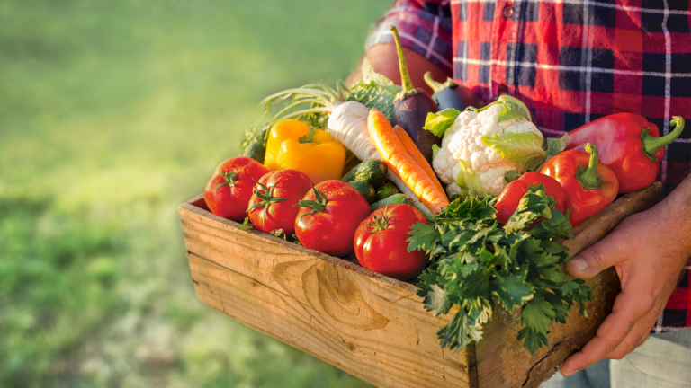 O que é a Sustentabilidade Alimentar Biolimentar